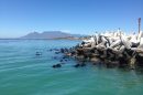 Table Mountain-Accessible-Cape Town