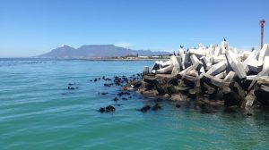 Table Mountain-Accessible-Cape Town