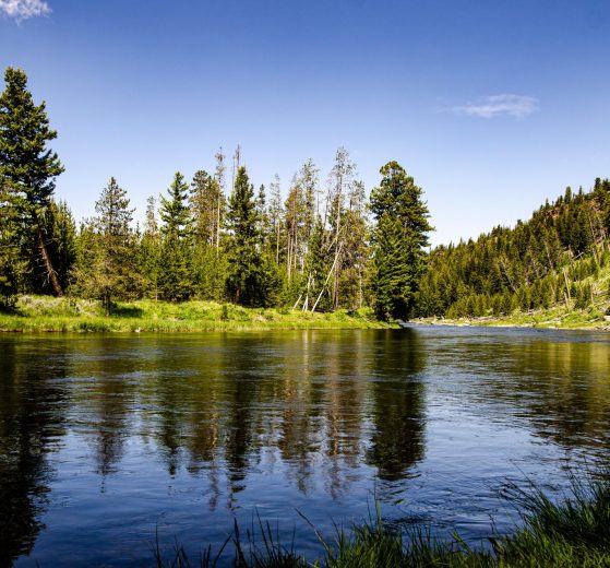 Yellowstone National Park, USA