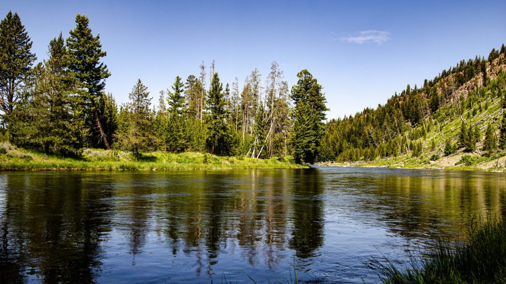 Yellowstone National Park, USA